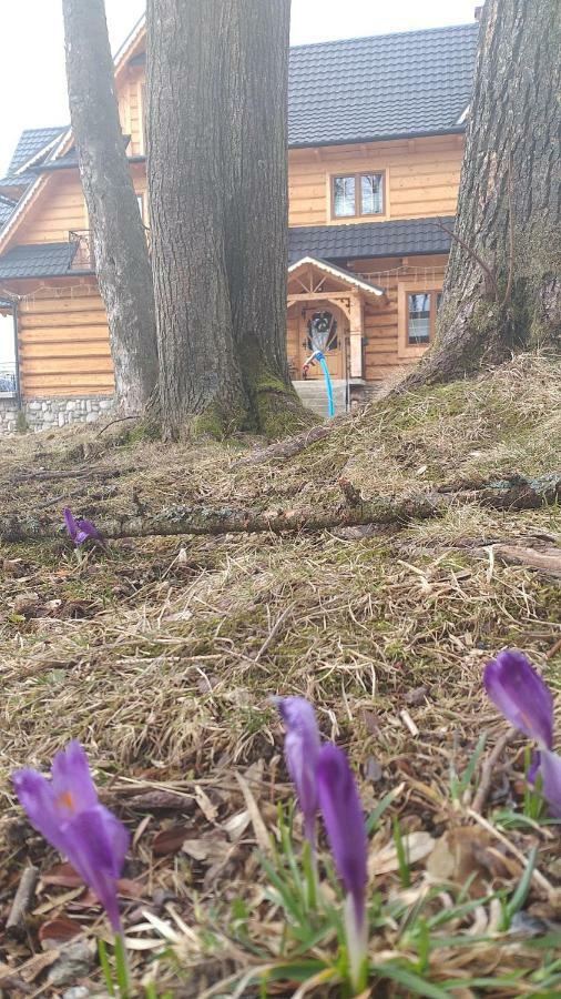 Domek, Apartamenty I Pokoje Willa Elita Kościelisko Exterior foto